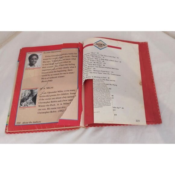 Make A Wish, LEVEL 4 (World Of Reading Series) By David P. Pearson - Hardcover - Picture 9 of 10